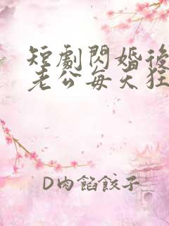 短剧闪婚后大叔老公每天狂宠我在线观看