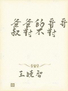 爸爸的哥哥叫叔叔对不对