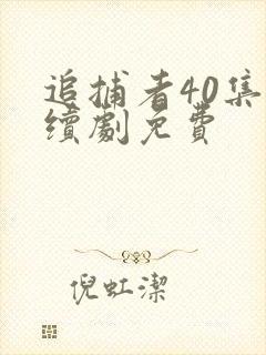 追捕者40集连续剧免费