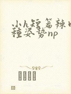 小h短篇辣肉各种姿势np