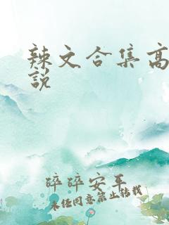 辣文合集高h小说