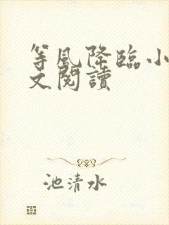 等风降临小说全文阅读