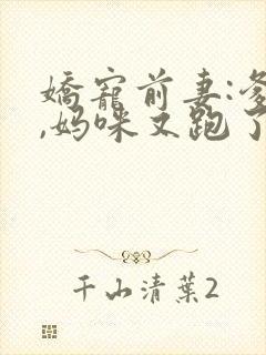 娇宠前妻:爹地,妈咪又跑了