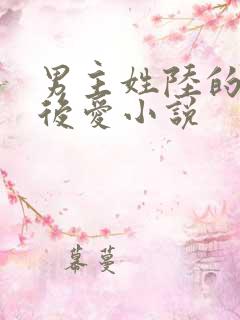 男主姓陆的先婚后爱小说 男主姓陆的先婚后爱小说