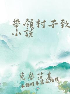 带领村子致富的小说