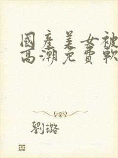 国产美女被爽到高潮免费软件