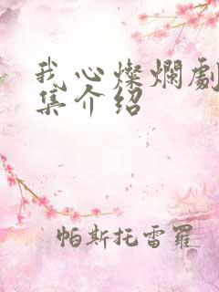 我心灿烂剧情分集介绍