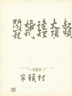 闪婚后大叔每天宠我短视频