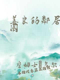 善良的邻居们韩国