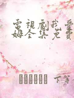 电视剧我爱男保姆全集免费观看