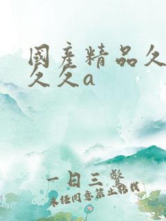 国产精品久久久久久a