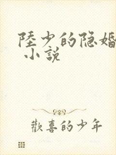 陆少的隐婚罪妻 小说
