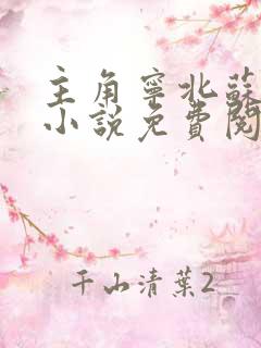 主角宁北苏清荷小说免费阅读