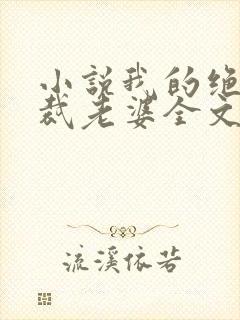 小说我的绝美总裁老婆全文阅读