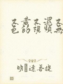又黄又湿又骚又色的视频无遮挡