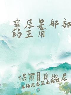 宁辰是哪部小说的主角