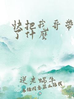 快把我哥带走讲了什么