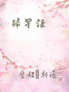 归星录