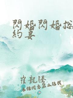 闪婚闪婚总裁契约妻