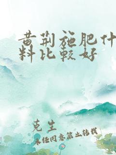 黄荆施肥什么肥料比较好