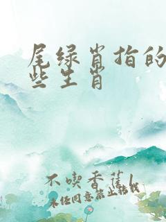 尾绿肖指的是哪些生肖