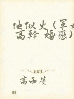 他似火 (军婚 高干 婚恋)类似小说