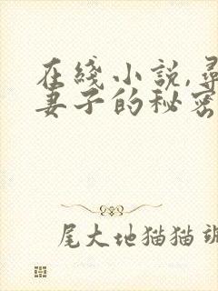 在线小说,寻找妻子的秘密