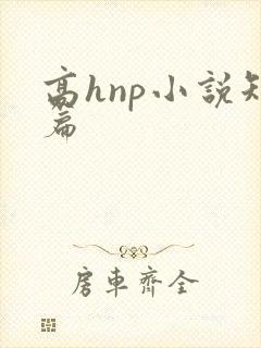 高hnp小说短篇