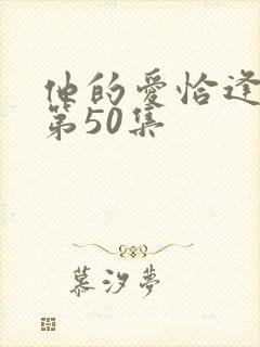 他的爱恰逢其时第50集