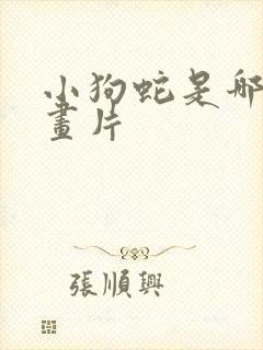 小狗蛇是哪个动画片