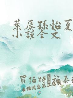 叶辰孙怡夏若雪小说全文