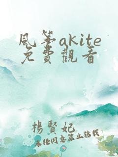 风筝akite免费观看