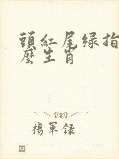 头红尾绿指是什么生肖