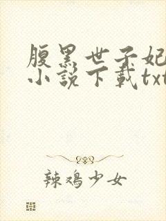 腹黑世子妃日常小说下载txt