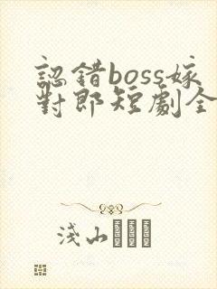 认错boss嫁对郎短剧全集免费观看