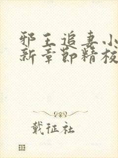 邪王追妻小说最新章节精校版