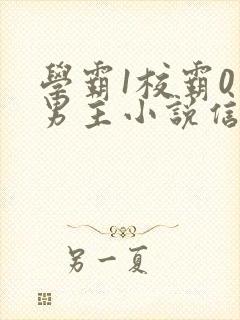学霸1校霸0双男主小说信息素