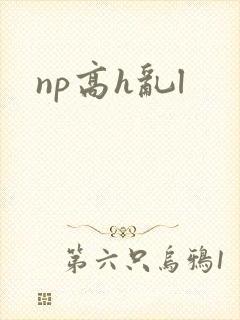 np高h乱l