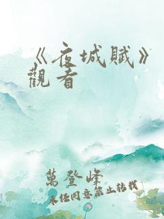 《夜城赋》免费观看