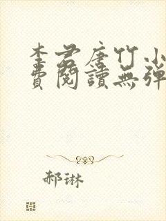 李君唐竹小说免费阅读无弹窗全文