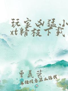 玩家凶猛小说txt精校下载