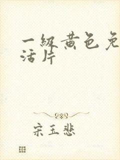 一级黄色免费生活片
