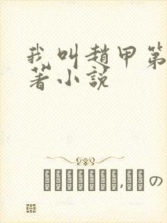 我叫赵甲第的原著小说