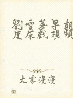 刘雪华早期大尺度床戏视频