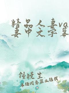 精品人妻va人妻中文字幕