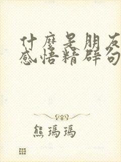 什么是朋友人生感悟精辟句子?