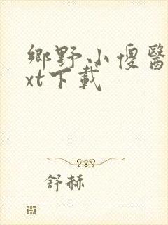 乡野小傻医 txt下载