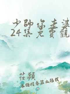 少帅你老婆又跑24集免费观看