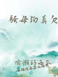 骚母狗真欠操 骚母狗真欠操