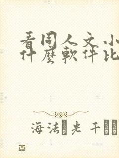 看同人文小说用什么软件比较好